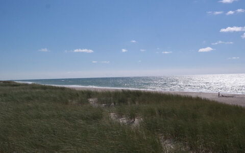 Iines - 200M from the Sea: Sky, Blue, Natural Environment, Horizon, Ecoregion, Beach, Sea, Coast, Coastal And Oceanic Landforms