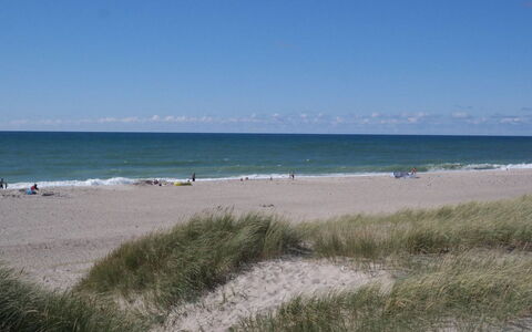 Iines - 200M from the Sea: Blue, Beach, Body Of Water, Coast, Natural Environment, Horizon, Coastal And Oceanic Landforms, Sea, Shore