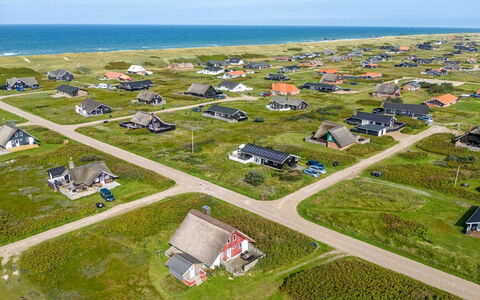 Iines - 200M from the Sea: Plant Community, Sunlight, Herbaceous Plant, Garden, Plantation, Agriculture, Farm