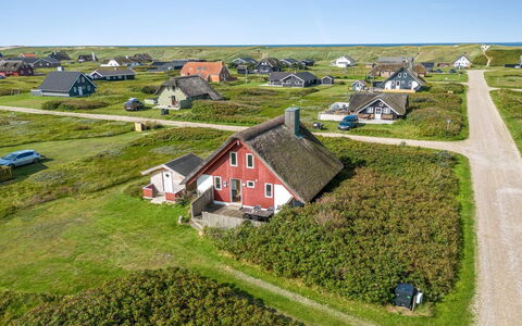 Iines - 200M from the Sea: Plant Community, Sunlight, Herbaceous Plant, Garden, Plantation, Agriculture, Farm