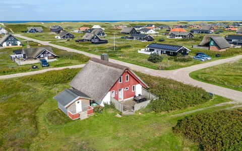 Iines - 200M from the Sea: Plant Community, Sunlight, Herbaceous Plant, Garden, Plantation, Agriculture, Farm