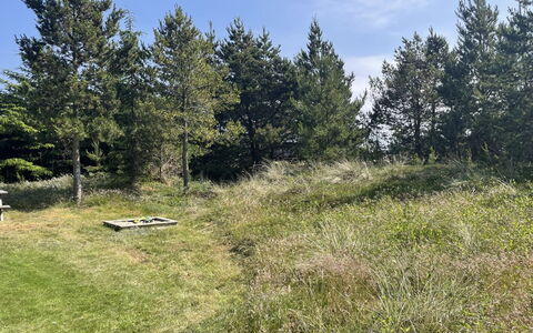 Felicia - 800M from the Sea: Grass, Tree, Natural Environment, Vegetation, Grassland, Shrub, Plant Community, Land Lot, Plain, Pasture