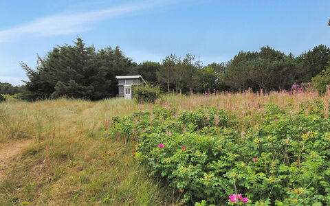 Dode - 225M from the Sea: House, Cottage, Roof, Garden Buildings, Shade, Shed, Backyard, Outdoor Furniture, Yard, Lawn