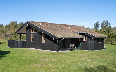 Jelin - 2.5Km from the Sea