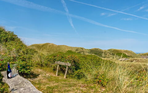 Ejnarine - 300M from the Sea: Sky, Green, Grass, Grassland, Vegetation, Hill, Ecoregion, Natural Landscape, Plant Community, Horizon