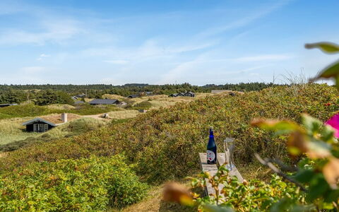 Ejnarine - 300M from the Sea: Sky, Green, Vegetation, Shrub, Plant Community, Landscape, Land Lot, Rural Area, Groundcover