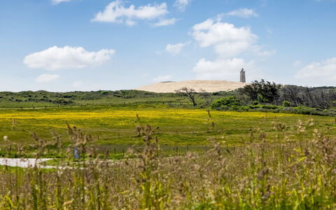 Ger - 200M from the Sea: Sky, Grass, Green, Natural Environment, Grassland, Vegetation, Ecoregion, Cloud, Natural Landscape