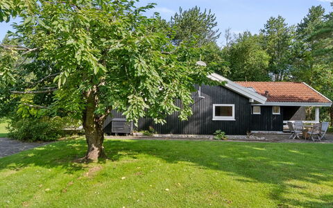 Batsha - 350M from the Sea: Branch, Shrub, Shade, Lawn, Garden, Cottage, Backyard, Yard, Garden Buildings, Landscaping