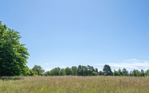 Naira - 1.8Km from the Sea: Wood, Roof, Architecture, Home, House, Cottage, Siding, Hardwood, Slope, Estate