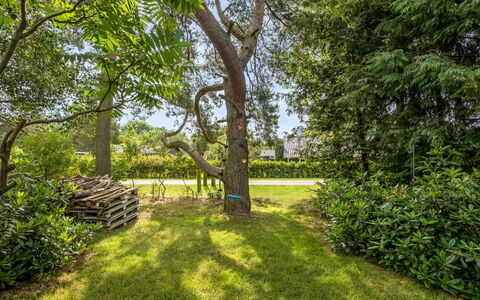 Fatlinda - 1Km from the Sea: Leaf, Green, Tree, Grass, Nature, Branch, Vegetation, Shrub, Garden, Plant Community