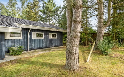 Fatlinda - 1Km from the Sea: Grass, House, Roof, Home, Cottage, Shrub, Land Lot, Rural Area, Farmhouse, Groundcover