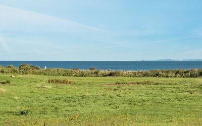 Alexis - 250M from the Sea