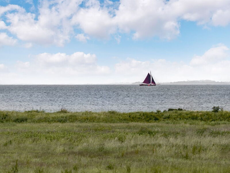Alexis - 250M from the Sea