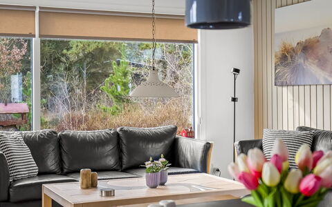 Halfdan - 1.1Km from the Sea: Furniture, Interior Design, Flooring, Couch, Wall, Floor, Wood, Table, Living Room, Home