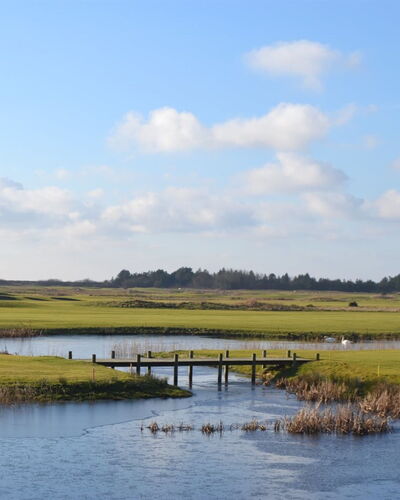 Svava - 2.3Km from the Sea
