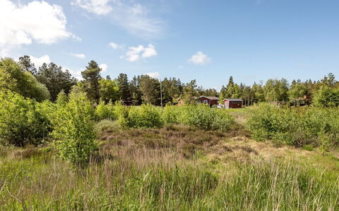 Atti - 2.5Km from the Sea: Thatching, Cottage, House, Roof, Home, Farmhouse, Hut, Estate, Village