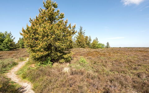 Atti - 2.5Km from the Sea: Thatching, Cottage, House, Roof, Home, Farmhouse, Hut, Estate, Village