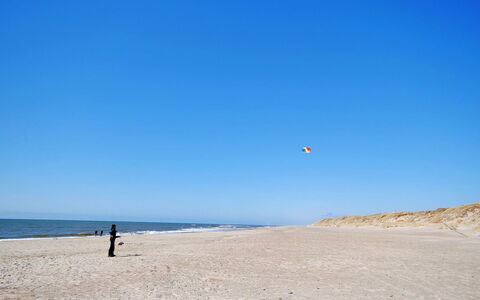 Hildegart - from the Sea: Plant Community, Sunlight, Herbaceous Plant, Garden, Plantation, Agriculture, Farm