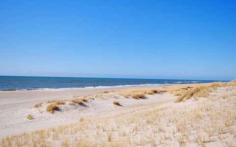 Hildegart - from the Sea: Plant Community, Sunlight, Herbaceous Plant, Garden, Plantation, Agriculture, Farm