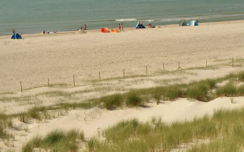 Hildegart - from the Sea: Plant Community, Sunlight, Herbaceous Plant, Garden, Plantation, Agriculture, Farm