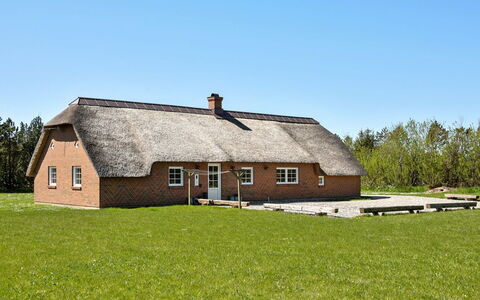 Jorkin - 1.8Km from the Sea: Plant Community, Sunlight, Herbaceous Plant, Garden, Plantation, Agriculture, Farm