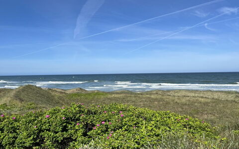 Carelle - 300M from the Sea: Blue, Water, Body Of Water, Green, Natural Environment, Coast, Horizon, Sea, Summer