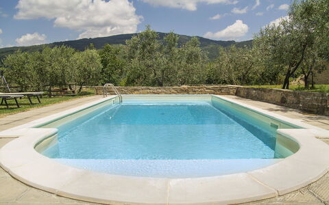 Orangerie Degli Ulivi: Water, Cloud, Sky, Property, Swimming Pool, Azure, Plant, Tree, Rectangle, Shade