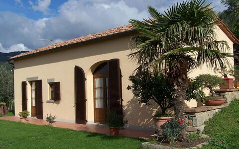 Orangerie Degli Ulivi: Plant, Cloud, Sky, Building, Window, House, Tree, Shade, Vegetation