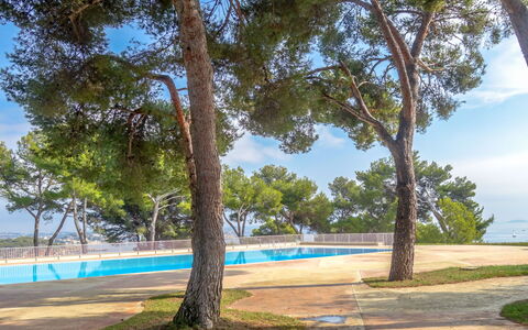 Bandol 230: Sky, Plant, Shade, Azure, Cloud, Tree, Branch, Arecales, Natural Landscape, Sunlight