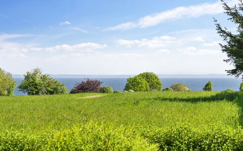 Alma - 400M from the Sea: Shrub, Urban Design, Groundcover, Brick, Apartment, Estate, Brickwork, Balcony, Landscaping