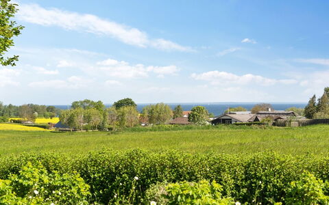Alma - 400M from the Sea: Shrub, Urban Design, Groundcover, Brick, Apartment, Estate, Brickwork, Balcony, Landscaping