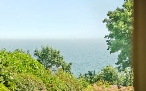 Fridtjof - 100M from the Sea: Green, Leaf, Vegetation, Horizon, Sea, Plant Community, Ocean, Coastal And Oceanic Landforms, Coast, Tropics