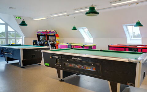 Urmas - 1Km from the Sea: Indoor Games And Sports, Pool, Billiard Table, Billiard Room, Recreation Room, Interior Design, Sports Equipment, Lighting