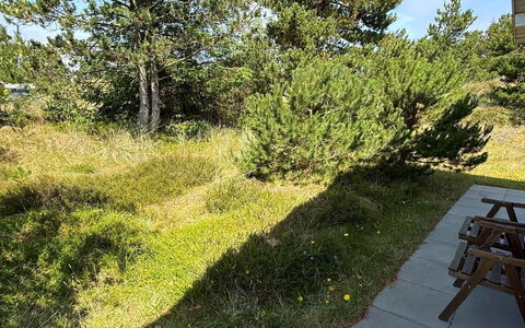 Absolon - 1.5Km from the Sea: Grass, Vegetation, Shrub, Plant Community, Land Lot, Groundcover, Garden, Woody Plant, Lawn