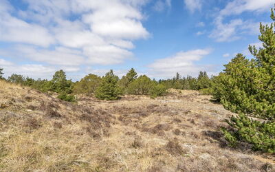 Absolon - 1.5Km from the Sea