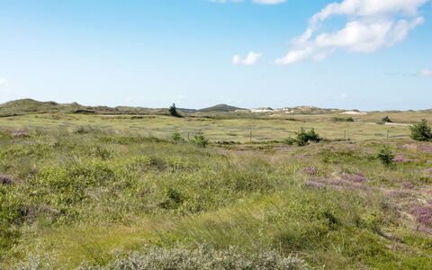Dorothea - 450M to the Fjord: Sky, Blue, Grass, Grassland, Natural Environment, Ecoregion, Vegetation, Cloud, Plain, Horizon