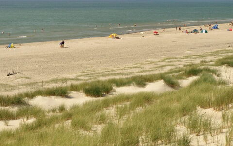 Dorothea - 450M to the Fjord: Natural Environment, Beach, Sand, Ecoregion, Coast, Summer, Shore, Sea, Coastal And Oceanic Landforms, Ocean