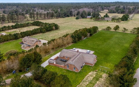 Aane - 1.8Km from the Sea: Plant Community, Sunlight, Herbaceous Plant, Garden, Plantation, Agriculture, Farm
