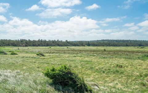 Tayanita - 750M from the Sea: Roof, Land Lot, Cottage, Home, Rural Area, Shed, Siding, Garden Buildings, Log Cabin, Hut