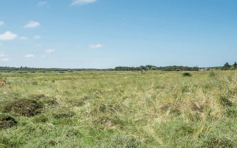 Tayanita - 750M from the Sea: Roof, Land Lot, Cottage, Home, Rural Area, Shed, Siding, Garden Buildings, Log Cabin, Hut