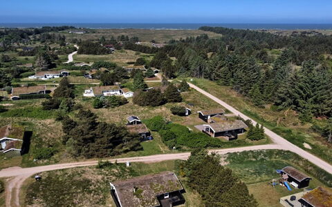 Anthonia - 1.6Km from the Sea: Plant Community, Sunlight, Herbaceous Plant, Garden, Plantation, Agriculture, Farm