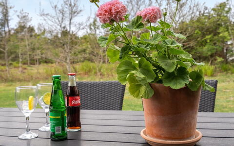 Birette - 1.5Km from the Sea: Flowerpot, Garden, Houseplant, Herb, Vase