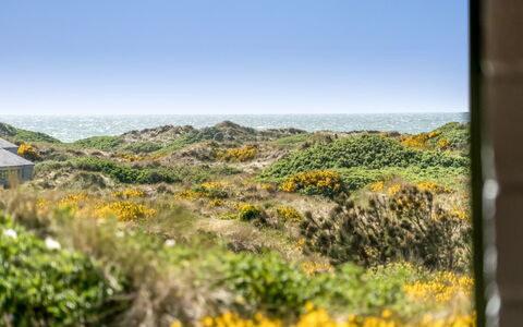 Ehawee - 350M from the Sea: Roof, Land Lot, Cottage, Home, Rural Area, Shed, Siding, Garden Buildings, Log Cabin, Hut