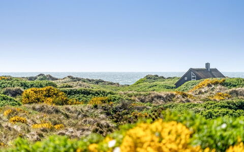 Ehawee - 350M from the Sea: Roof, Land Lot, Cottage, Home, Rural Area, Shed, Siding, Garden Buildings, Log Cabin, Hut