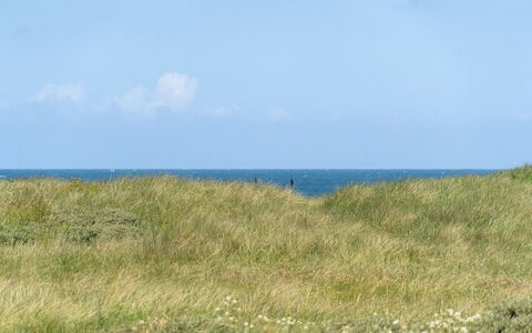 Dila - 150M from the Sea: House, Home, Door, Roof, Cottage, Estate, Garden, Shade, Siding, Yard