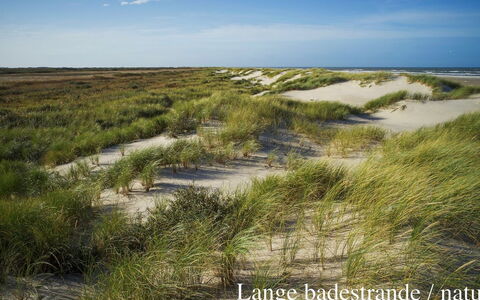 Elle - 50M from the Sea: Roof, House, Land Lot, Home, Cottage, Estate, Garden Buildings, Shade, Log Cabin, Landscaping