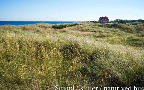 Elle - 50M from the Sea: Roof, House, Land Lot, Home, Cottage, Estate, Garden Buildings, Shade, Log Cabin, Landscaping