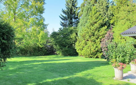 Claudette - 1Km from the Sea: Tree, Green, Grass, Leaf, Shrub, Garden, Lawn, Land Lot, Groundcover