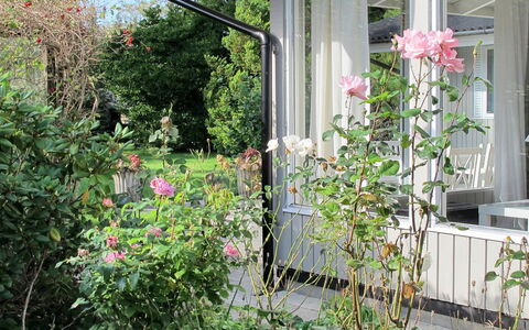 Claudette - 1Km from the Sea: Flower, Shrub, Pink, Garden, Petal, Plant Community, Garden Roses, Spring, Flowering Plant