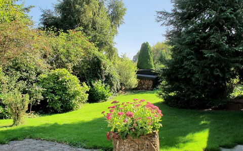 Claudette - 1Km from the Sea: Green, Leaf, Grass, Garden, Vegetation, Shrub, Landscape, Plant Community, Lawn